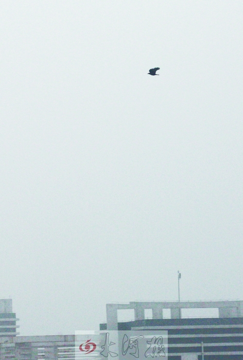 全省35個(gè)縣市發(fā)布惡劣天氣預(yù)警信號(hào)，其中15個(gè)發(fā)布大霧紅色預(yù)警