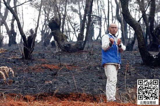 山林被燒得滿目瘡痍。