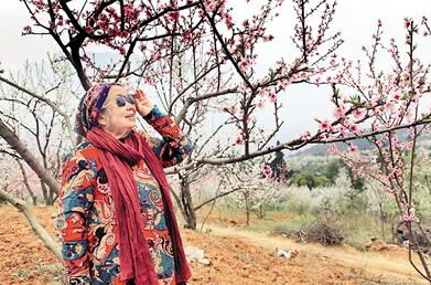 公式“時(shí)尚奶奶”的賞花照，收獲了好多人的點(diǎn)贊。 受訪者供圖