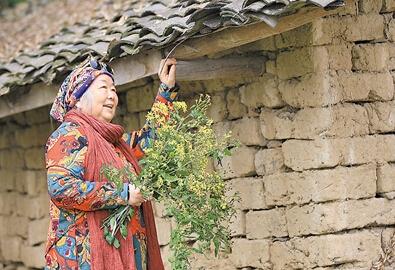 公式“時(shí)尚奶奶”的賞花照，收獲了好多人的點(diǎn)贊。 受訪者供圖