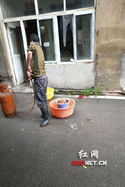 5月8日，男子在校園里殺狗，地上殘留一塊血跡。目擊者供圖。