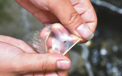 避孕套存在小孔。