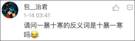 鶴立雞群？雞立鶴群！