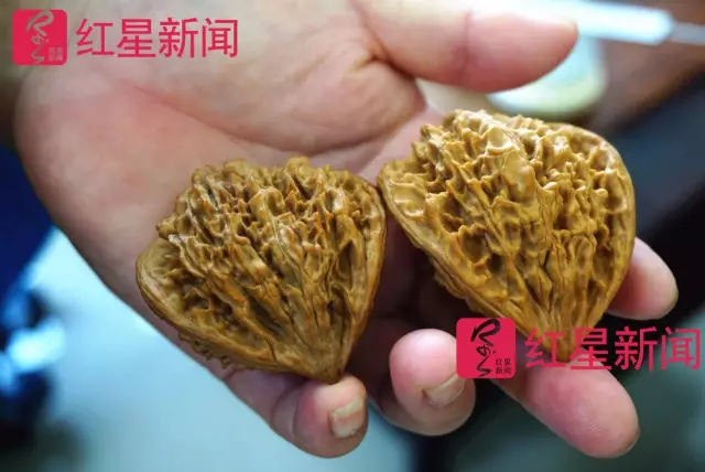 文玩核桃遇冷由幾萬一對降到5元沒人要？商戶否認(rèn)