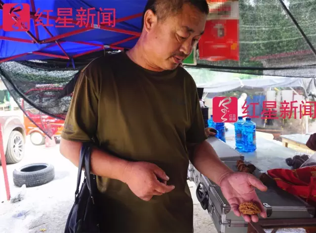 文玩核桃遇冷由幾萬一對降到5元沒人要？商戶否認(rèn)