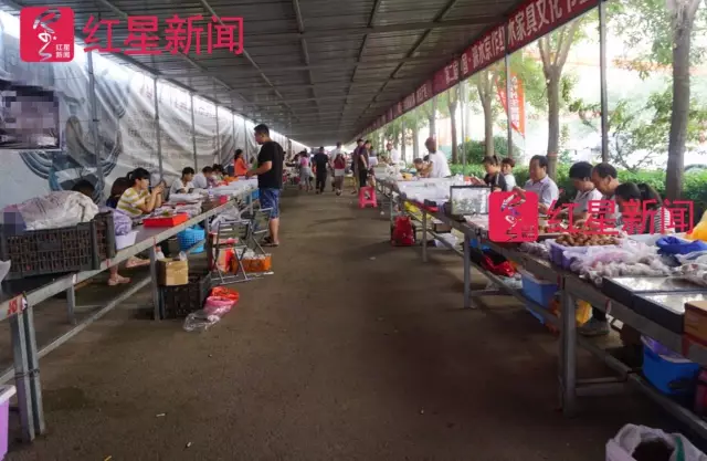 文玩核桃遇冷由幾萬一對降到5元沒人要？商戶否認(rèn)