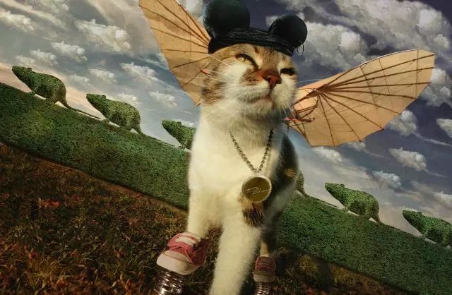 一只虛擬寵物貓叫價(jià)13億元？云養(yǎng)貓成真