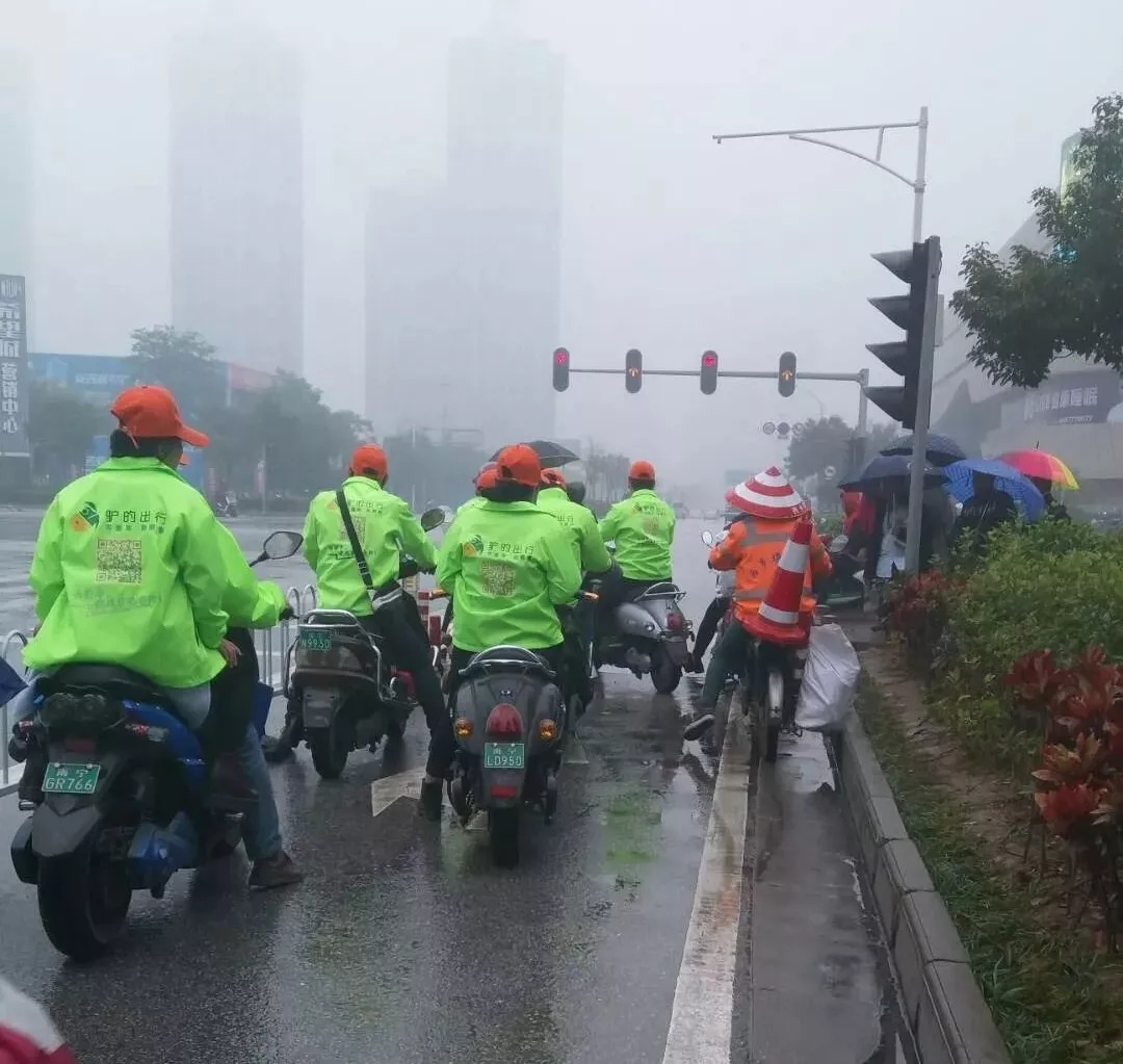 出門打驢？ 南寧“滴滴打驢”被緊急叫停