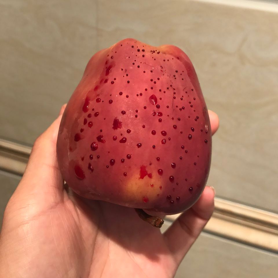 嚇懵！女子用熱水泡蘋果結(jié)果冒出血珠 咋回事？