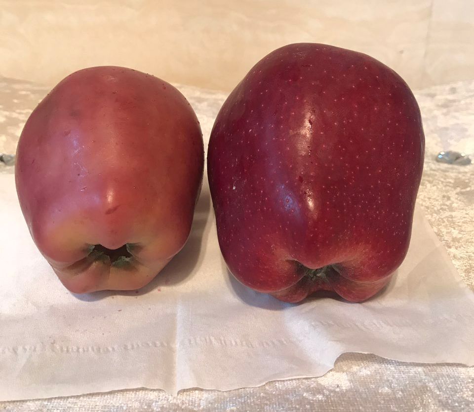 嚇懵！女子用熱水泡蘋果結(jié)果冒出血珠 咋回事？