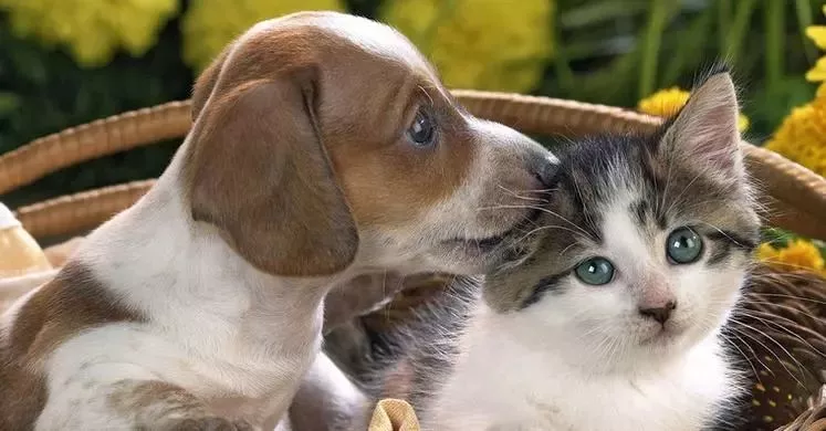 可憐！12歲女孩右眼完全失明 只因平時(shí)有這愛好