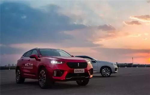 去年“蹦”出來的新汽車品牌們，現(xiàn)在活得怎么樣了？