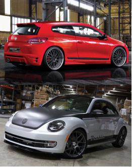 尚酷、甲殼蟲