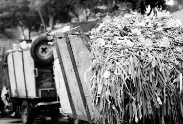 垃圾車(chē)、渣土車(chē)再在市區(qū)“裸奔”就是違法了
