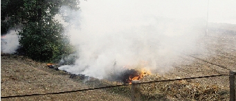 鄭州深陷“霾”伏   都是燒秸稈惹的禍？