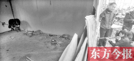 12月4日，鄭州市未來路與隴海路交叉口西側(cè)，執(zhí)法人員用吹管麻醉針對(duì)付一只藏獒