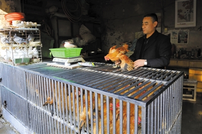 南京另一家農(nóng)貿(mào)市場內(nèi)待售的活雞。因南京出現(xiàn)H7N9禽流病例，買活雞的顧客減少。