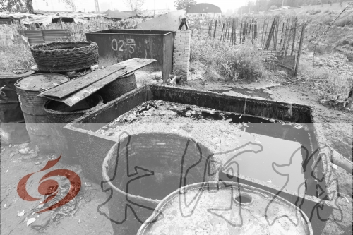 　　骯臟、令人作嘔的油桶凌亂地擺放在院子里，為了避免視覺刺激，我們把它做成了黑白圖片。