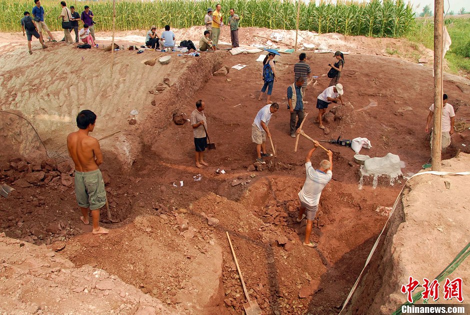 恐龍化石發(fā)掘現(xiàn)場。