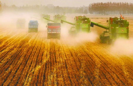 田里，一臺臺收割機(jī)唱著豐收歌。