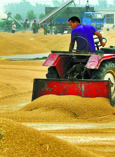 精心晾曬，散倉入庫。
