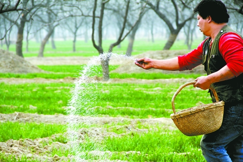 3月18日，內(nèi)黃縣城關(guān)鎮(zhèn)農(nóng)民在給小麥?zhǔn)┓?。眼下正是冬小麥返青的關(guān)鍵時(shí)期，內(nèi)黃縣廣大農(nóng)民積極開(kāi)展以澆水