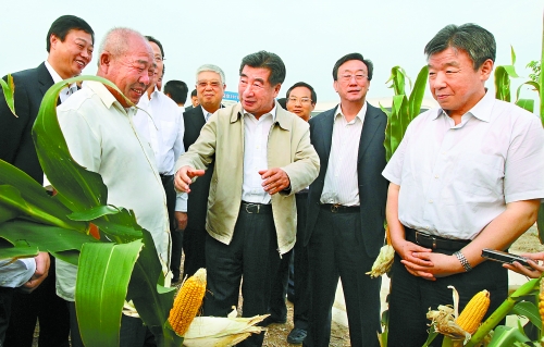 圖為回良玉在鄧州市腰店鄉(xiāng)草寺村視察萬畝玉米高產(chǎn)示范方。