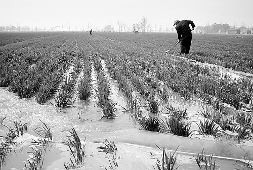 3月25日，濮陽縣郎中鄉(xiāng)大趙寨村農(nóng)民在為小麥澆水。連日來，濮陽縣廣大農(nóng)民不誤農(nóng)時，及時為麥田施肥、澆