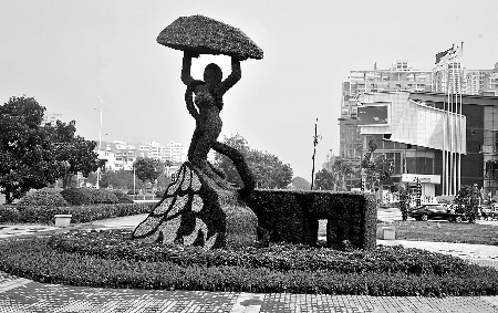 8月28日，南陽街頭繁花似錦，市民宛若行走在花海之中。