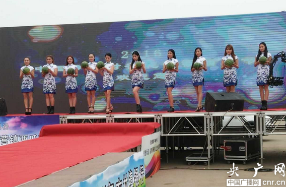 2016中國(guó)·開封——杏花營(yíng)西瓜節(jié)隆重開幕