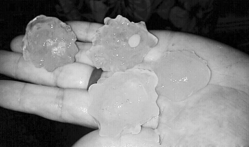 昨天凌晨，三門峽下起了冰雹，最大直徑近1厘米 微博截圖