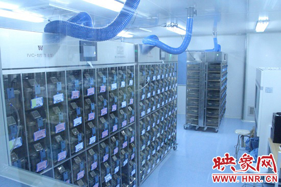 “鼠村”里每一個籠子是一家。“村”里住著1萬只左右的小鼠