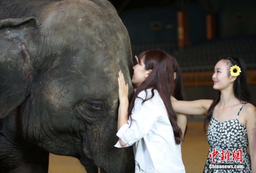 學(xué)生參加?；ㄐ２荽筚?穿比基尼秀身材