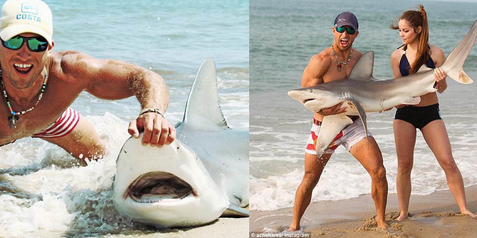 男子徒手抓鯊魚(yú)走紅網(wǎng)絡(luò)