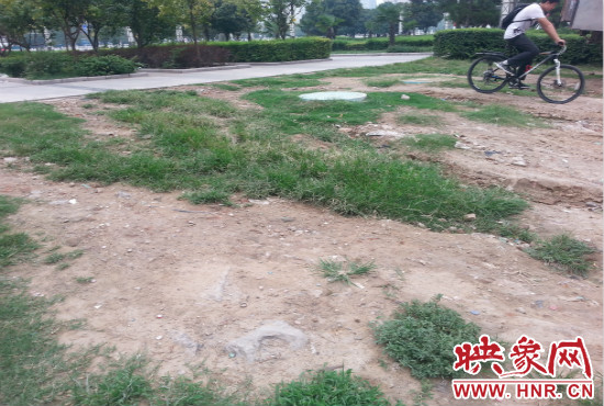 公園內(nèi)大片草坪遭到破壞。