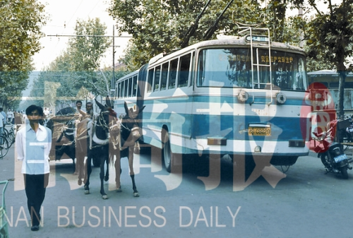 當年的伏牛路，驢車和公交車并行