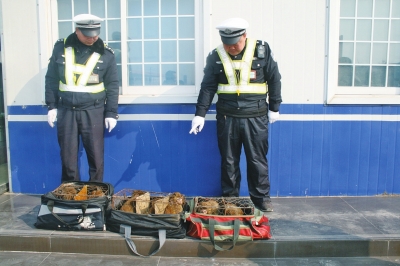 民警查獲的乘客行李包中，裝的全是獼猴。