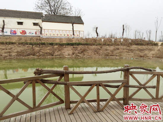 護(hù)欄損毀的地方，已經(jīng)被兩根樹(shù)干擋住。