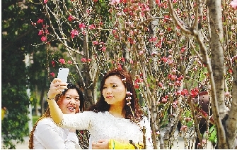 市民在公園與花合影。