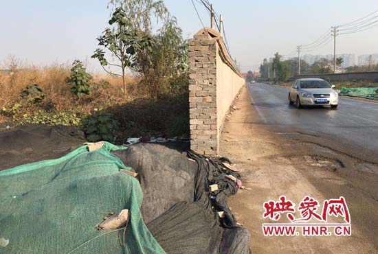 一墻之隔，一邊是道路，一邊是垃圾和荒草，市民質(zhì)疑其為遮羞墻。