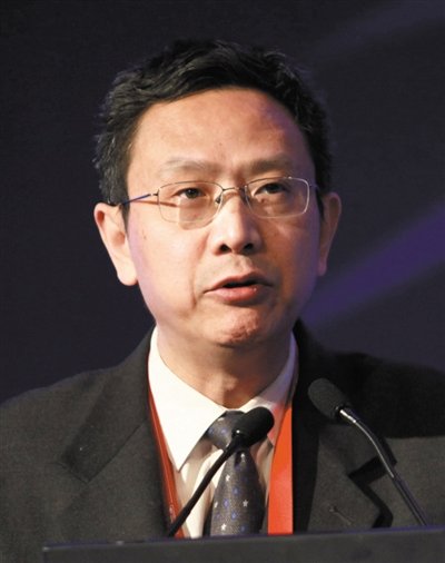 財(cái)政部財(cái)政科學(xué)研究所所長賈康。圖/CFP