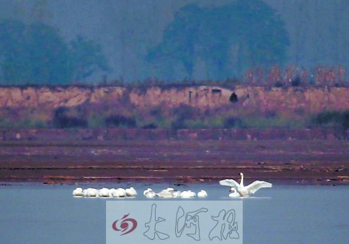 眾“人”皆睡我獨醒