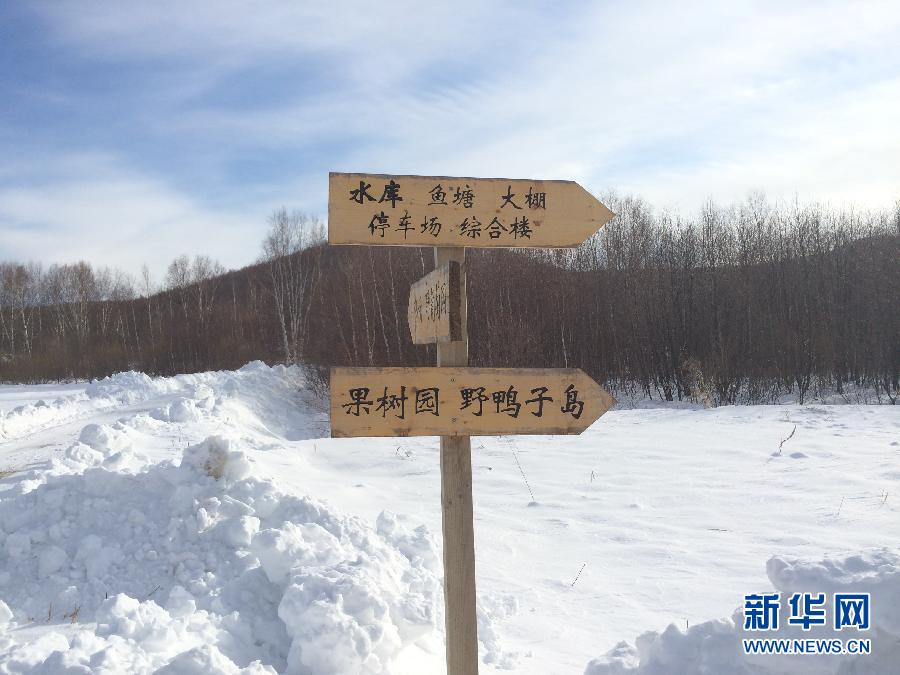 穗豐園里的標識牌（2013年12月8日攝）。新華社記者王子辰攝