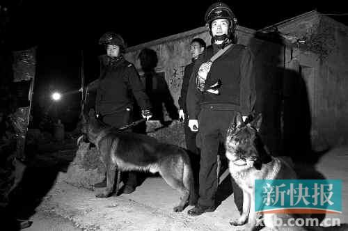 緝毒犬協(xié)助警方搜查毒品。