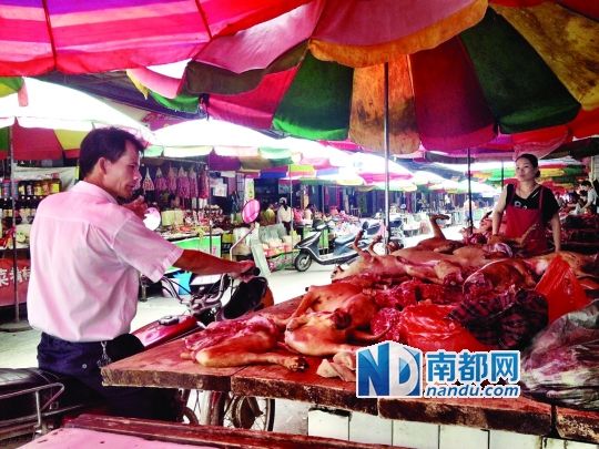  昨日，玉林垌口市場(chǎng)，一位市民在購買狗肉。