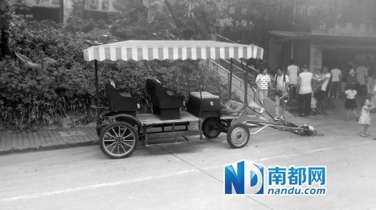 園方則稱解剖后發(fā)現(xiàn)馬死于心臟衰竭，“與累無關”。