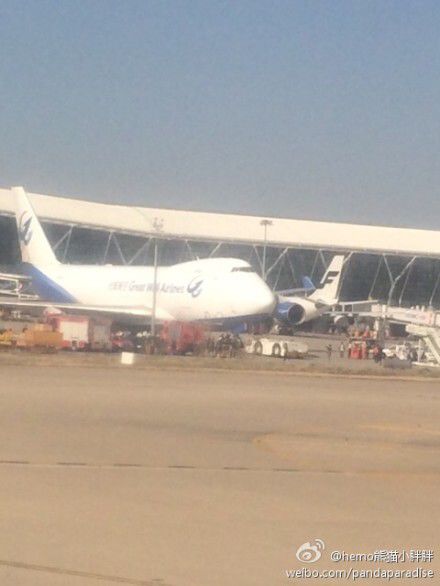 圖說：發(fā)生事故的飛機(jī)。圖片來源：新浪微博網(wǎng)友圖（請私信“新民晚報新民網(wǎng)”以奉稿酬）
