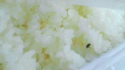 陸先生在高鐵上購買的“梅菜扣肉套餐”盒飯。盒飯中的米飯上有芝麻狀的黑色小蟲。