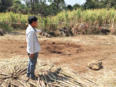昨日，在大水桑樹(shù)村，村民向記者展示13日造成5死8傷的炸彈事件彈坑。