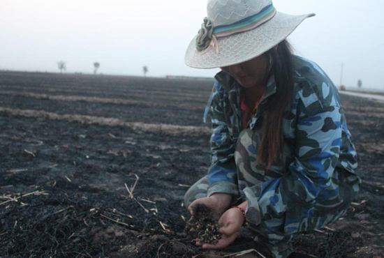 村民們眼巴巴看著豐收的小麥“葬身”火海，心疼不已。